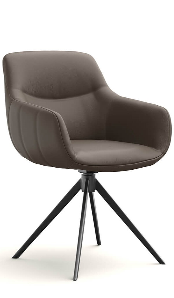 Excellent, Bicolor grey