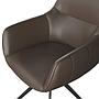 Excello-AL, Bicolor grey