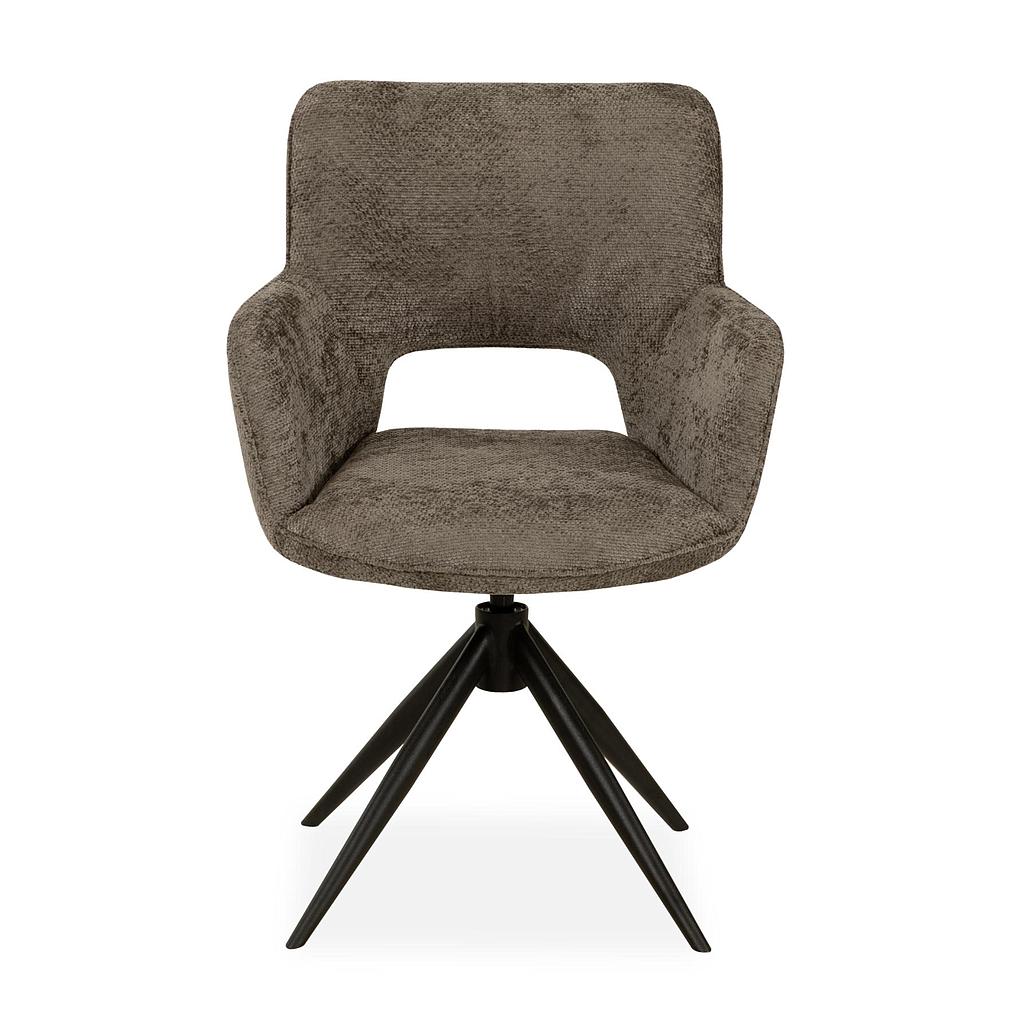Darwin, Velvet-taupe