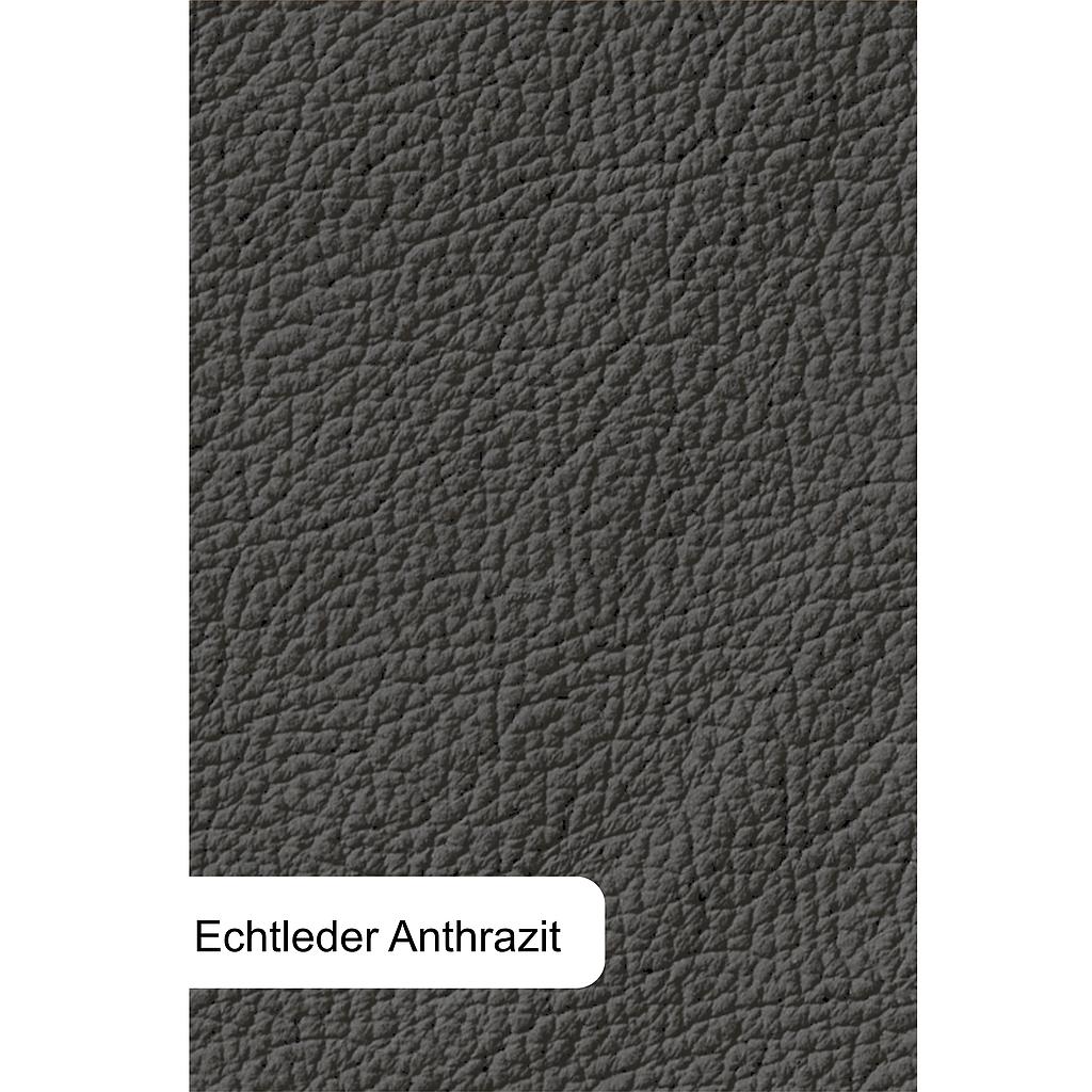 LEDER-Ecke/ mit Sonderausstattung