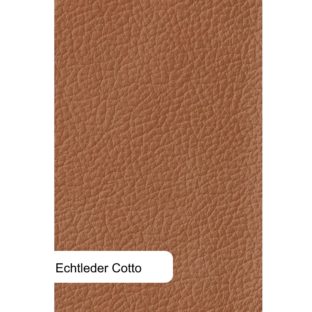 LEDER-Ecke/ mit Sonderausstattung