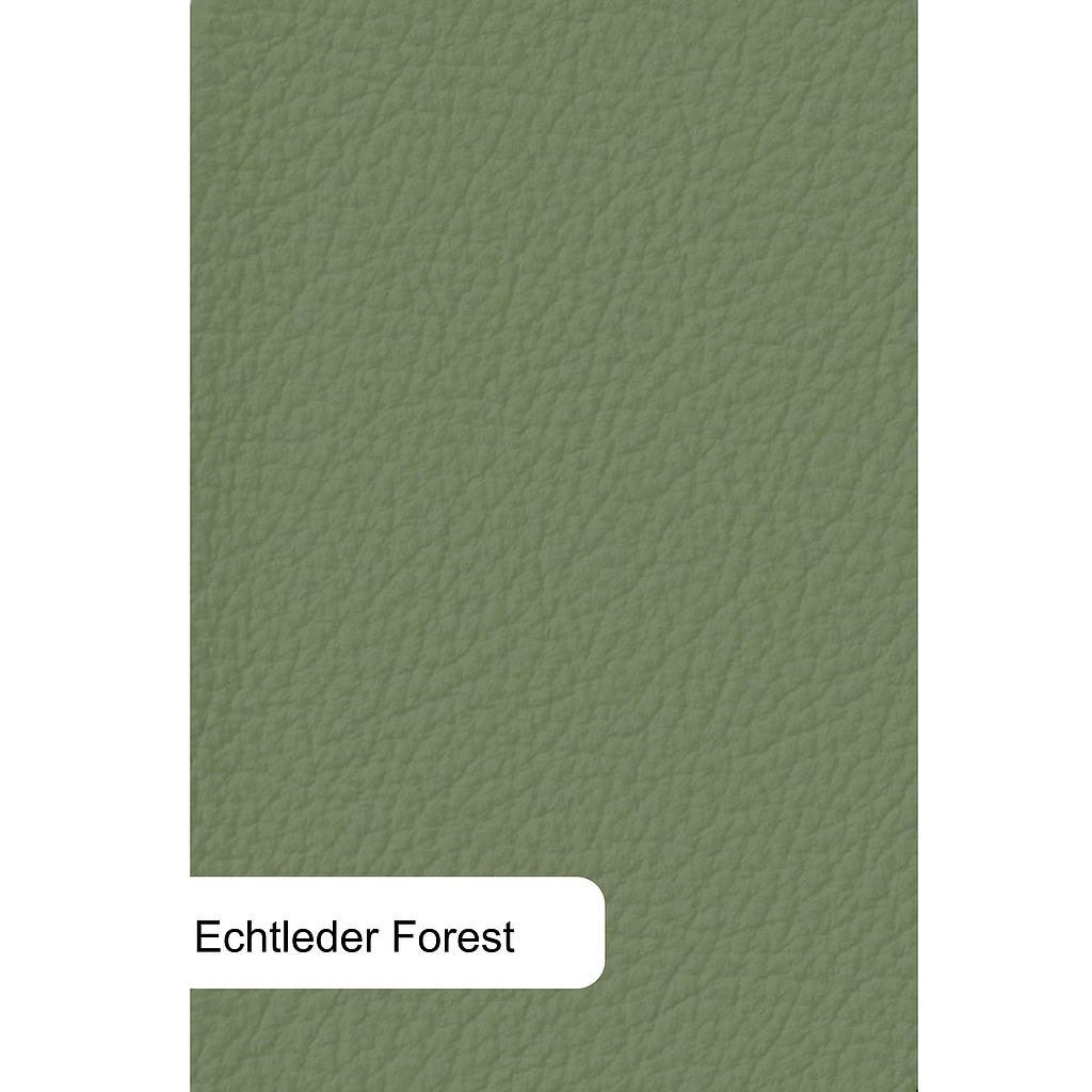 Bari-AL, Leder forest