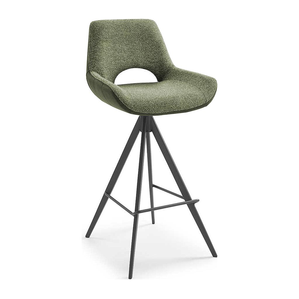 Furor Bar, moss