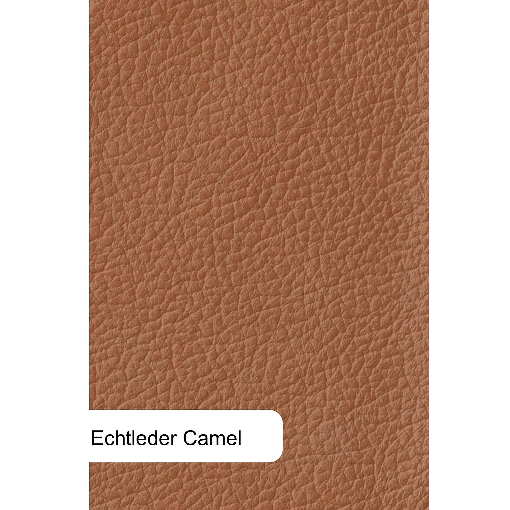 Diana, 3 Motoren, HerzwaageFunktion