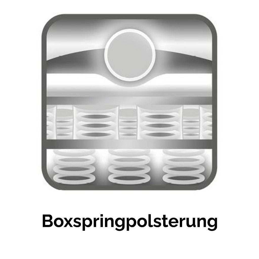 MDS excl. Lerici Rec