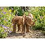 Elefant Baby 60cm Wurzelholz