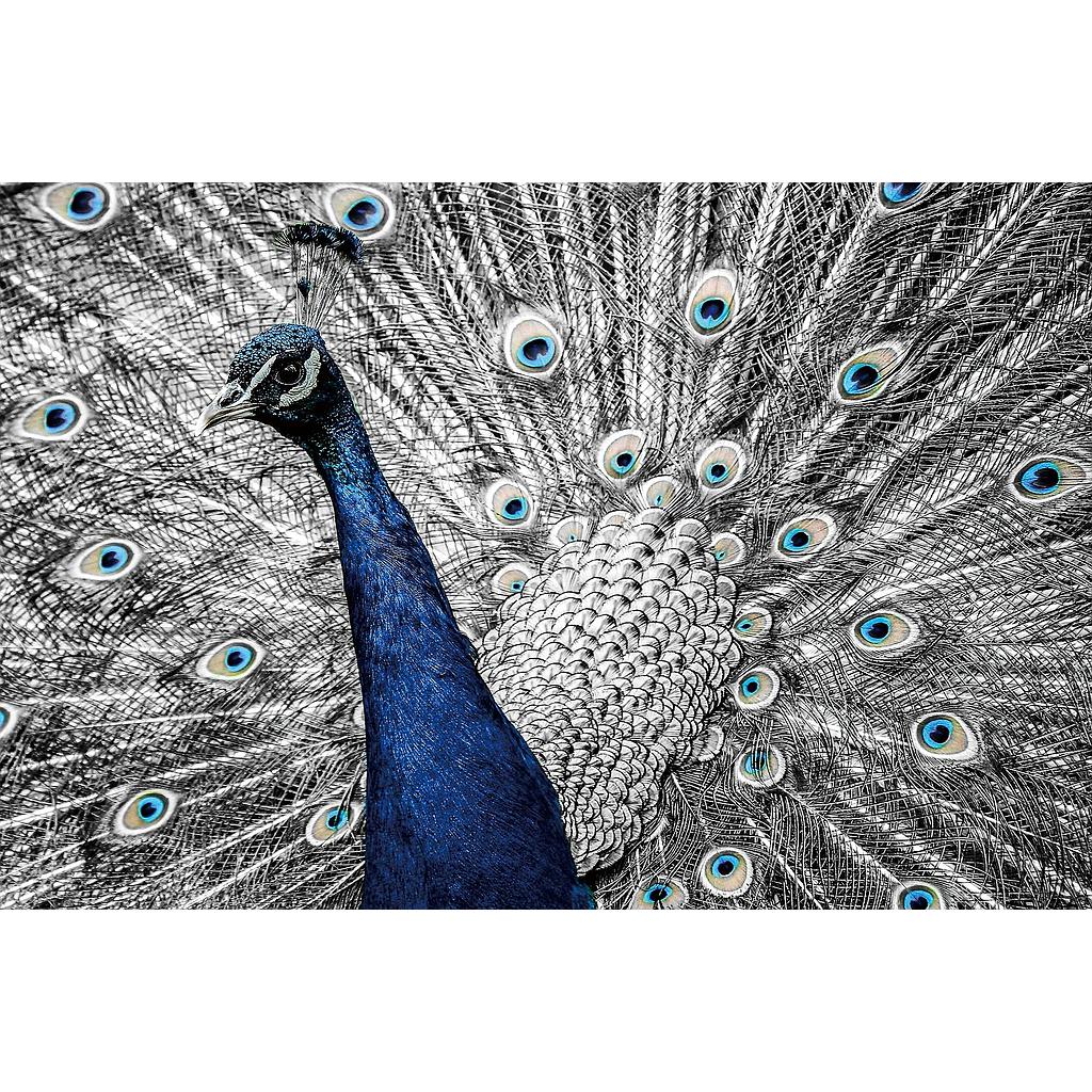GlasArt 120x80cm G.25