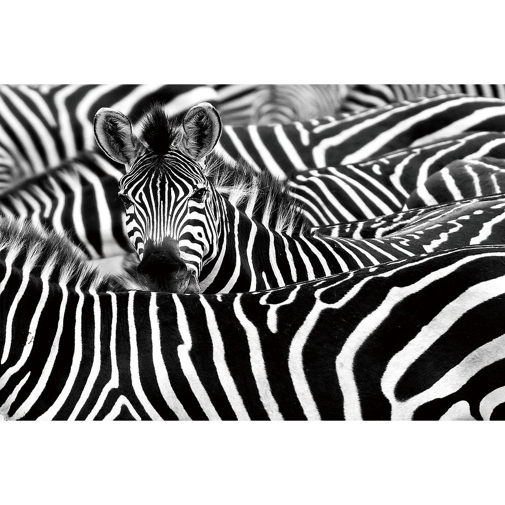 GlasArt 120x80cm G.34