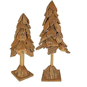 Tree 145 Wurzelholz