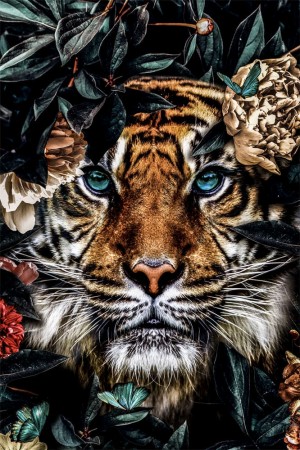 GlasArt 80x120cm G.64