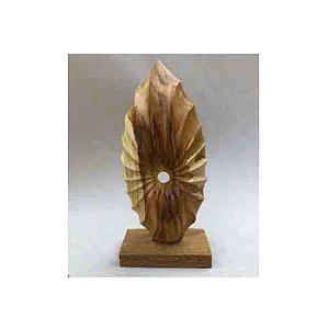 Shell, Sculpture 50cm 