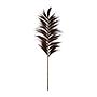 Feather red 220cm