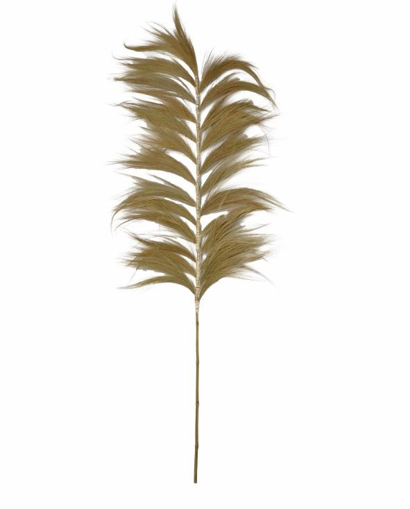 Feather natur 220cm