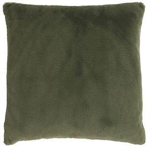 Klaas, winter green