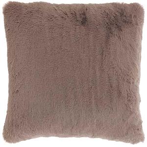 Klaas, taupe