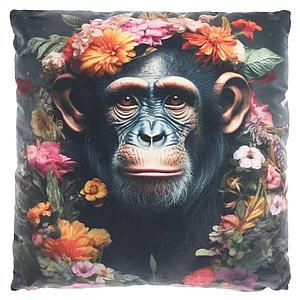 Winter tropical, monkey
