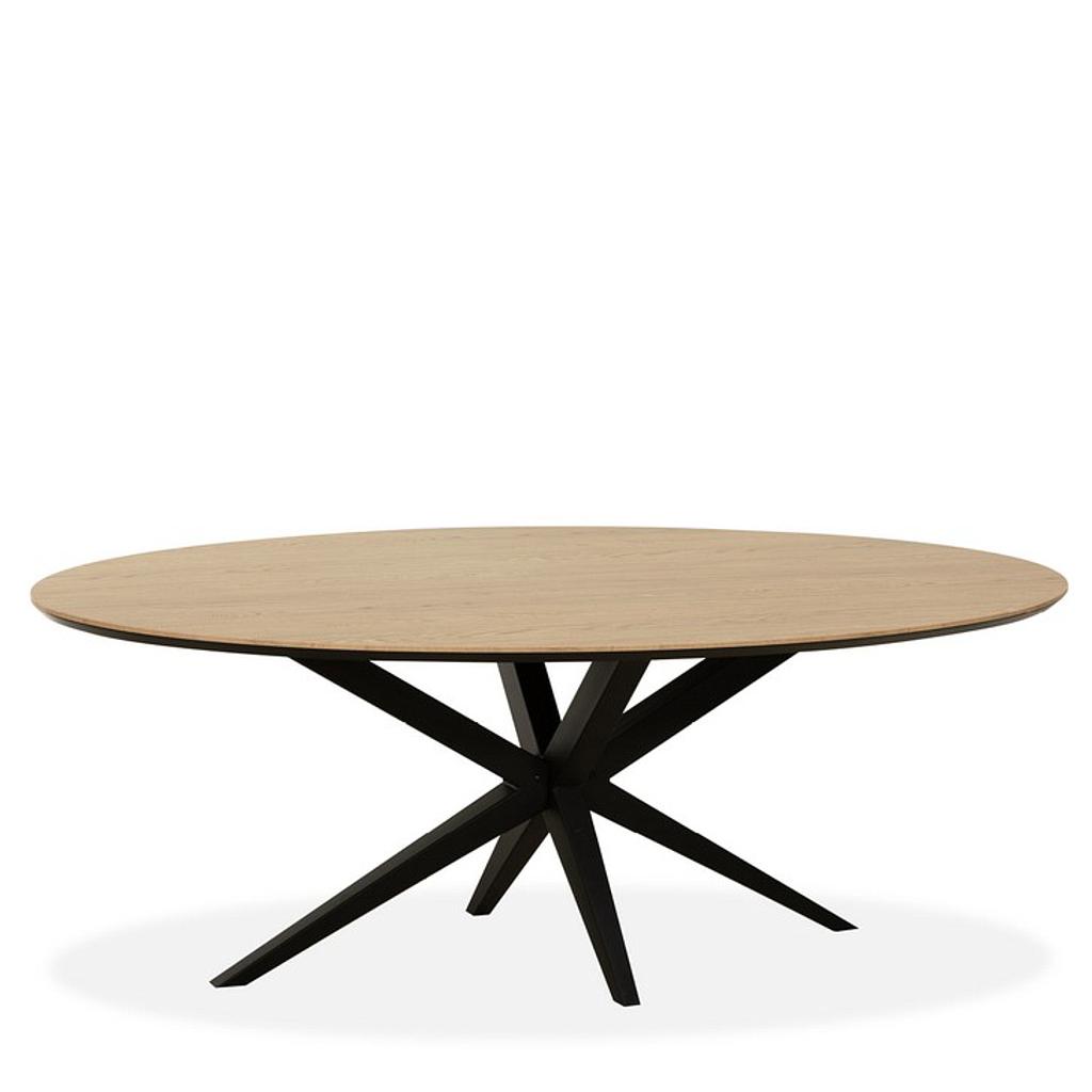 Esstisch oval 180+ MX Well