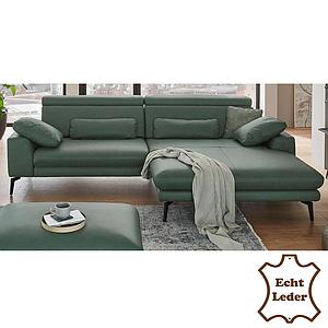 MDS Leder Darwin LE-1 